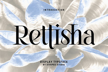 Rettisha Display, a Serif Font by Stripes Studio
