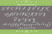 Belluccia Pro Bold Font, a Script Font by Debi Sementelli (Thumbnail 2 of 5)