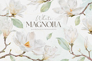 Watercolor White Magnolia Mijelo, a Pattern Graphic by Alisa Fimen Design (Thumbnail 1 of 12)