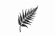 8 Fern Leaf Silhouette Bundle, an Illustration by BIPLOB EXPERT (Thumbnail 3 of 9)