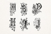 Vintage Ornate Drop Caps, an Object Graphic by Wes Franklin (Thumbnail 2 of 3)