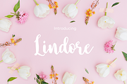 Lindore Script, a Script Font by Irina Vascovet (Thumbnail 1 of 7)