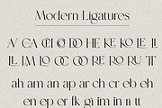 Sanctuario A Timeless Serif, a Serif Font by Prestige Artsy Studio (Thumbnail 6 of 10)