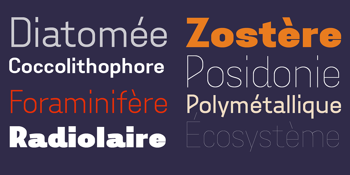 Aconit, a Sans Serif Font by Octotypo (Photo 7 of 9)