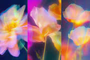 Mystic Haze: Floral Blur Backgrounds, a Background Graphic by Anzhelika (Thumbnail 7 of 12)
