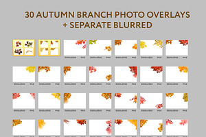 30 Autumn Branch Photo Overlays