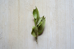 Sprig of Greenery