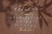 Dulan Anzelica - Signature Font, a Script Font by StringLabs (Thumbnail 9 of 10)