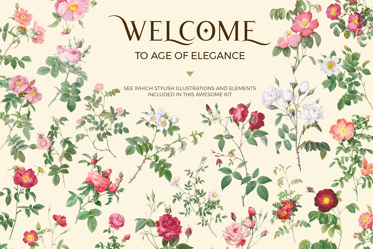 Manor of roses shabby chic kit, an Object Graphic by Beauty Drops (Photo 3 of 13)