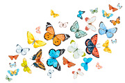 20 Watercolor Butterflies, an Object Illustration by Lembrik's Artworks (Thumbnail 3 of 3)
