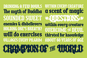 Bulbia, a Serif Font by Typogama (Thumbnail 10 of 14)