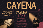 Cayena - Modern Serif, a Serif Font by Astuti Studio (Thumbnail 2 of 25)