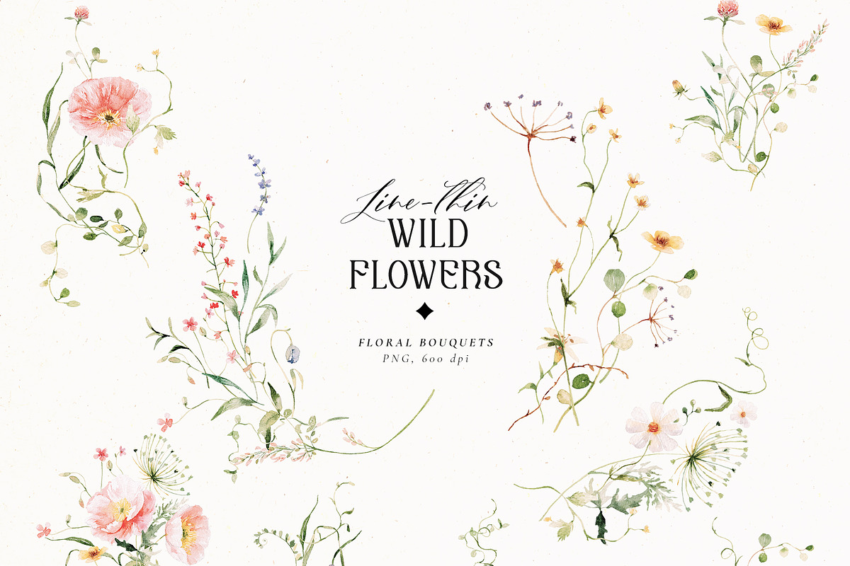 Line-thin watercolor wildflowers, a Decorative Illustration by Pamyatka Shop (Photo 4 of 16)