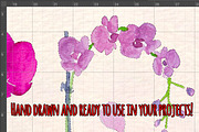 27 Pretty Watercolor Orchid Flowers, an Illustration by Violet LeBeaux (Thumbnail 3 of 3)