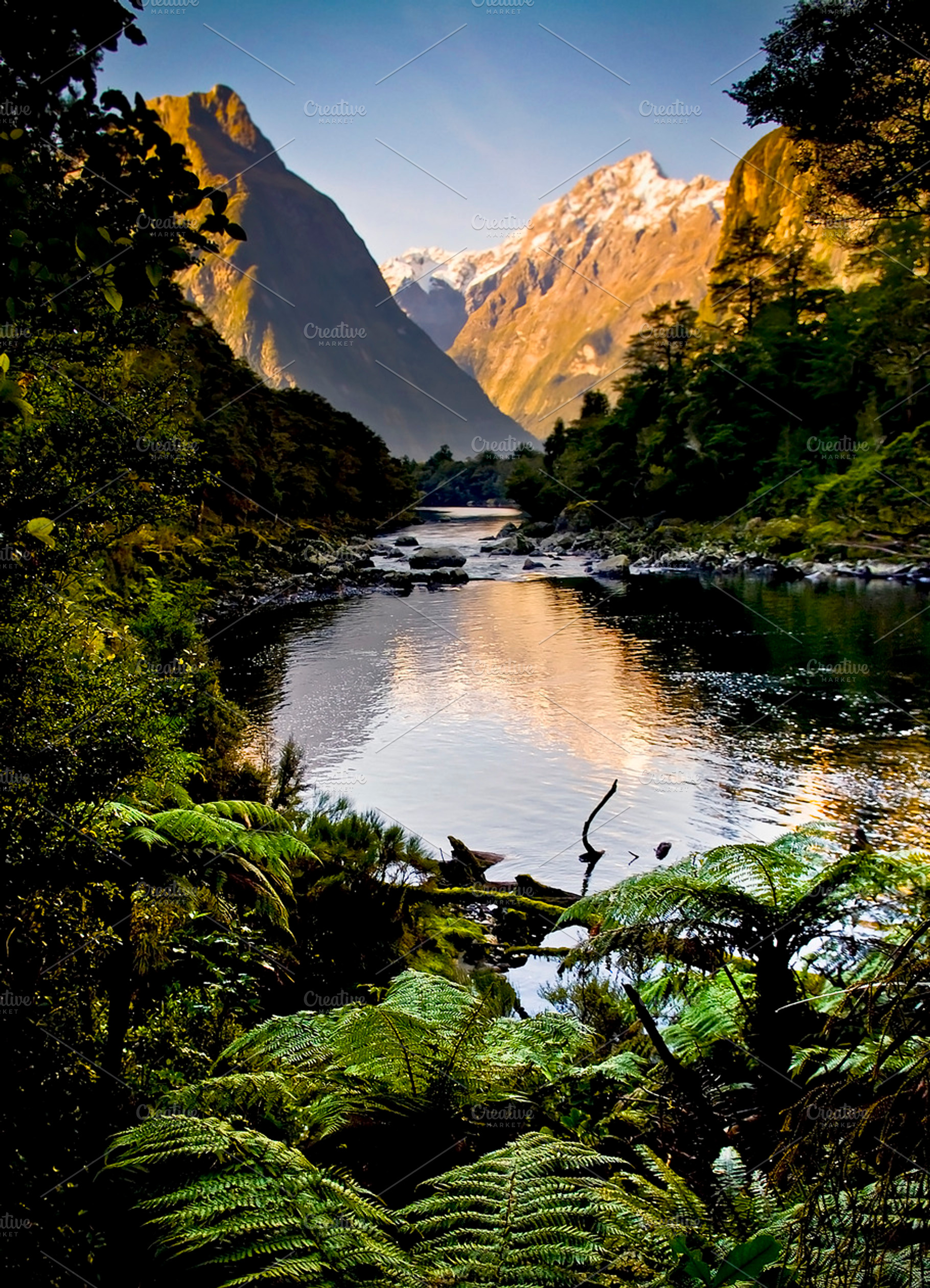 Mountain Valley New Zealand, a Nature Photo by THP Creative