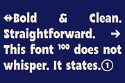 Lapford - Sans Serif Font Display, a Sans Serif Font by Simetrica Labs (Thumbnail 9 of 9)