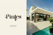 Brista - Elegant Serif Font, a Serif Font by suhadidesign (Thumbnail 3 of 10)