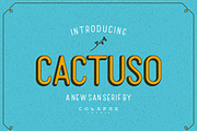 Sans Serif Font - Cactuso, a Serif Font by Collapse Std. (Thumbnail 1 of 7)