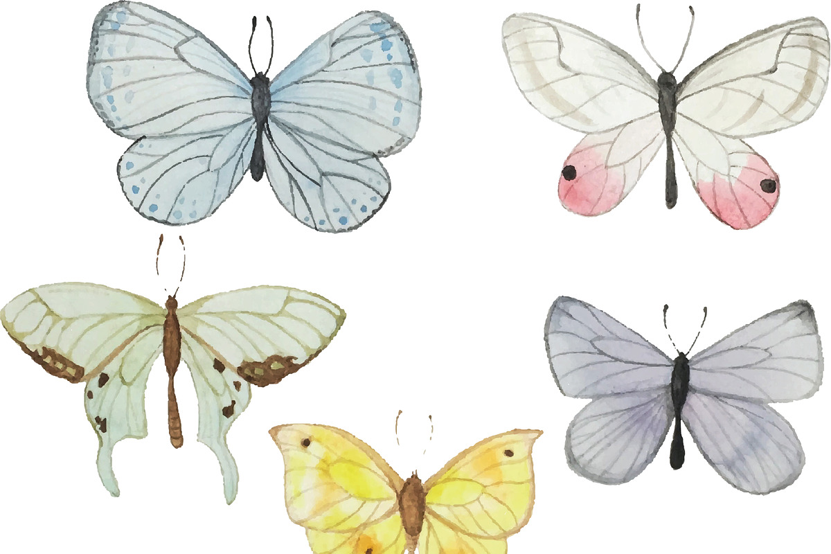 Watercolor Butterflies, an Illustration by Valeri Nick (Photo 2 of 3)