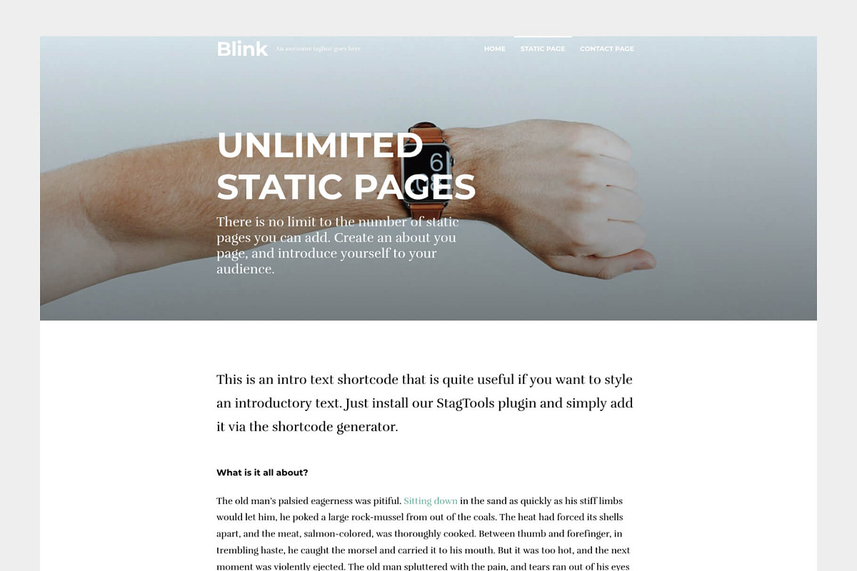 Blink - A WordPress blogging theme, a WordPress Template by Codestag (Photo 4 of 5)