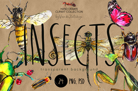 Insects and bugs watercolor clipart