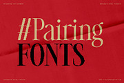 The Silver Editorial Pixel Version, a Serif Font by SilverStag Type Foundry (Thumbnail 17 of 20)