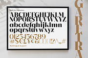Garetra Serif Font Family, a Serif Font by Letterhend Studio (Thumbnail 7 of 10)