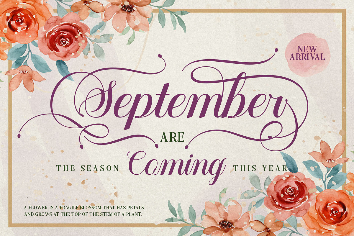 Mountleaf Typeface, a Script Font by alit design (Photo 4 of 20)
