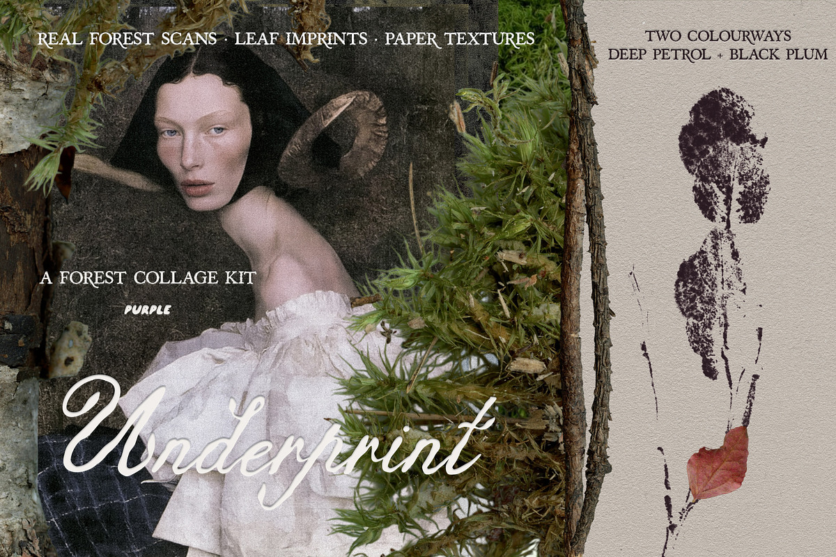 Leaf Imprints, Forest Scans & Paper, an Object Graphic by Purple (Photo 20 of 20)