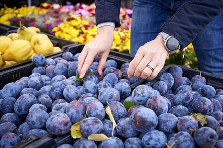 Hands selecting plums at the farmers market, a Food & Drink Photo by Madeleine Steinbach