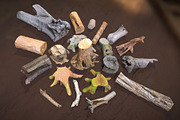 Forest Elements, an Environmental 3D Model by Beatheart Creative Studio (Thumbnail 19 of 25)