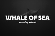 Rawkner Font, a Sans Serif Font by trustha (Thumbnail 9 of 15)