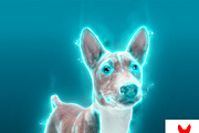 Light Photoshop Action, a Preset Add-On by MRI STUDIO (Thumbnail 6 of 14)