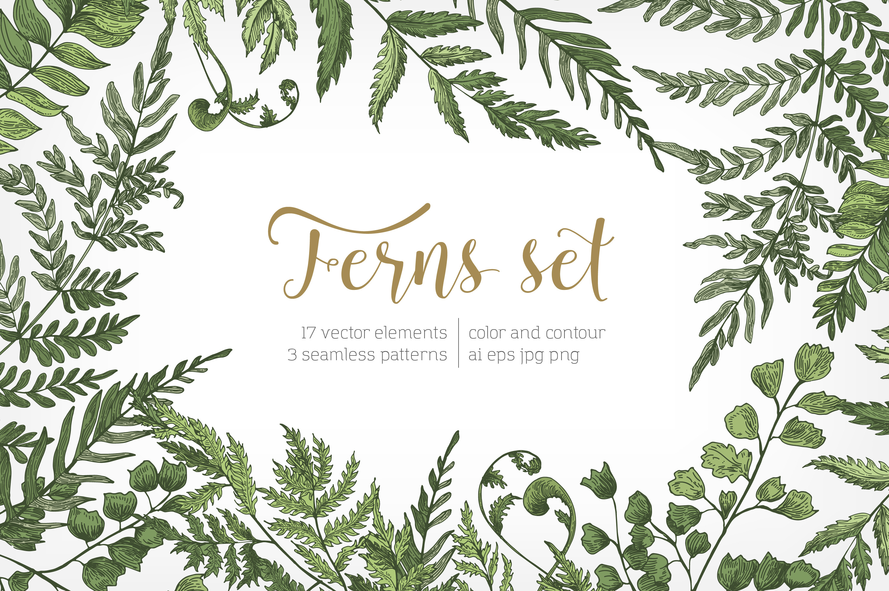 Ferns green foliage - set, backdrop, a Decorative Illustration by Good ...