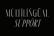 Meksron Modern Serif Font, a Serif Font by Letterena Studios (Thumbnail 12 of 15)