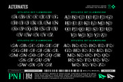 Soullar Typeface, a Serif Font by alit design (Thumbnail 8 of 20)