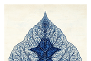 Role Co. Cyanotype Leaf in Symmetry, a Texture Illustration by milatovar (Thumbnail 11 of 21)