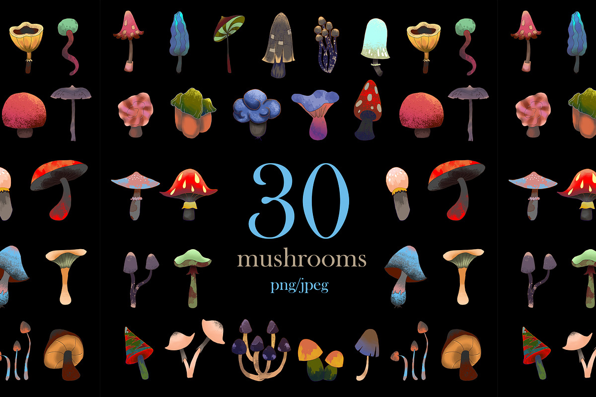 mushrooms, an Object Illustration by kaplaniha (Photo 1 of 7)
