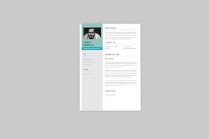 Jimmie Consultant Resume Designer