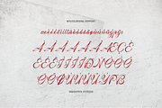 Tanya Kata | Handwritten Script, a Script Font by gracetype_studio (Thumbnail 11 of 12)