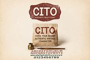 Cito - Minimalist Luxury Serif, a Serif Font by Astuti Studio (Thumbnail 9 of 28)