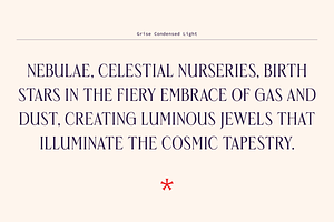 Grise - Variable Serif 18 Fonts