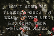 Epitaph, a Serif Font by JoshuaRed Design (Thumbnail 3 of 9)