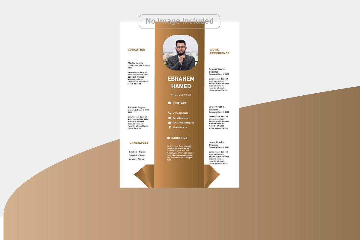 Luxury and simple CV, a Resume Template by Hamed Studio
