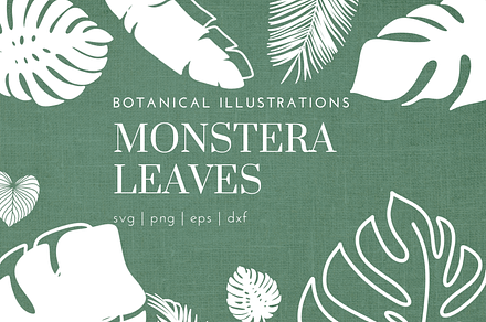 Monstera Leaf SVG Illustrations, an Object Illustration by HalieKStudio