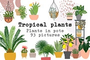 Tropical plants vector., an Illustration by irina.vaneeva (Thumbnail 1 of 15)