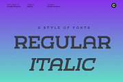 CS Blanco Disco, a Slab Serif Font by Craft Supply Co. (Thumbnail 2 of 8)