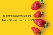 Gothink Serif Fonts, a Font by Jadugar Design Studio (Thumbnail 5 of 12)