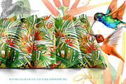Watercolor Tropical plant & Bird, an Object Graphic by FineArt (Thumbnail 18 of 22)