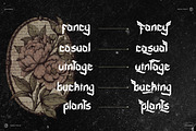 Meviat Gothic - Gothic Blackletter, a Blackletter Font by Dhabee (Thumbnail 4 of 16)